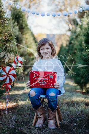 Lollis Family website-7