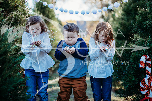 Lollis Family website-8