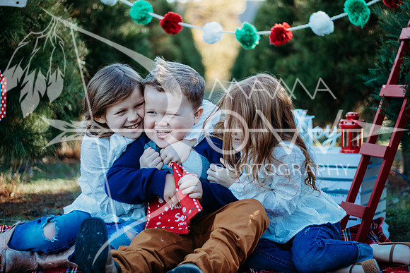 Lollis Family website-15