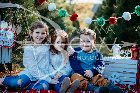 Lollis Family website