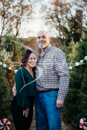 the mckellips web-13