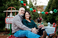 the mckellips web-16