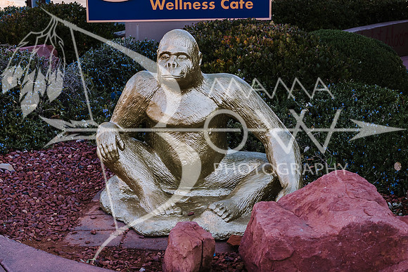 Arizona Trip ccb-71