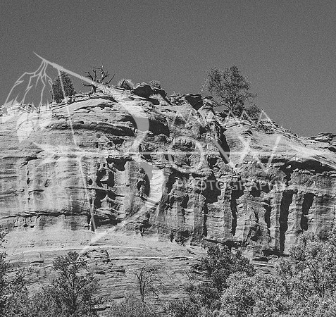 Arizona Trip ccb-11