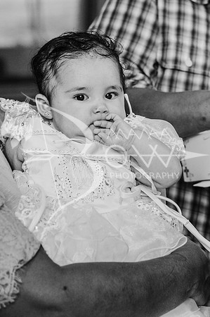 Azaleas baptism ccbw-20
