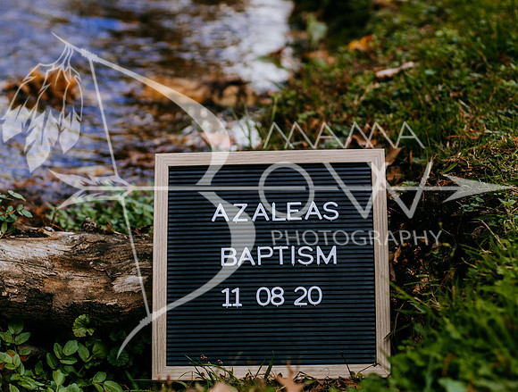 Azaleas baptism ccbw-98