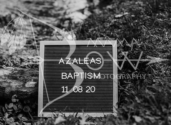 Azaleas baptism ccbw-99