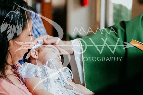 Azaleas baptism ccbw