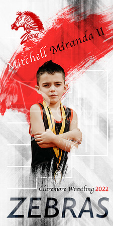 Mitchell M BG # 19