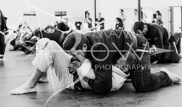 Primate Promotions ccbw ws-71