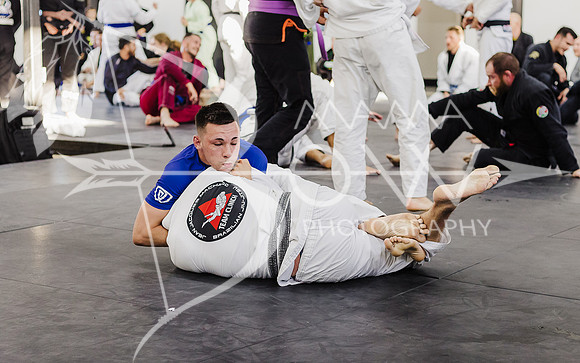 Primate Promotions ccbw ws-86