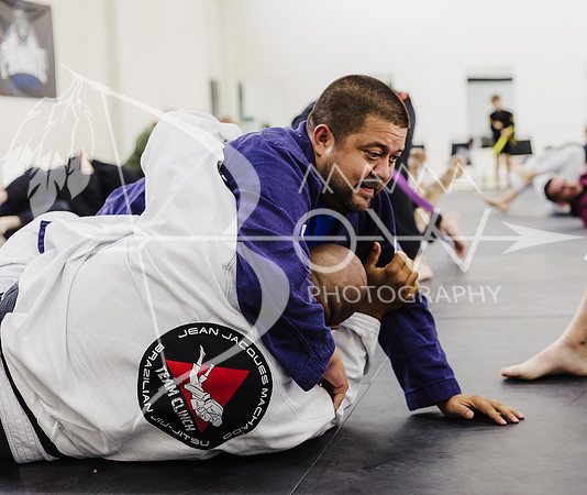 Primate Promotions ccbw ws-73