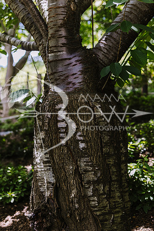 San Deigo CCBW_-97