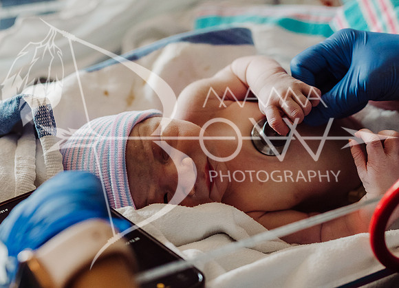 Cooper live birth ws-85