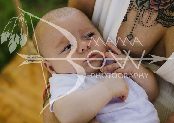 kara staci ccbw ws-12