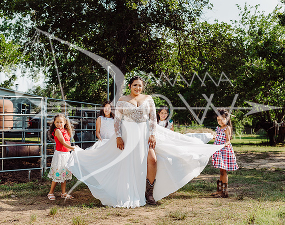 solis ccbw ws-20