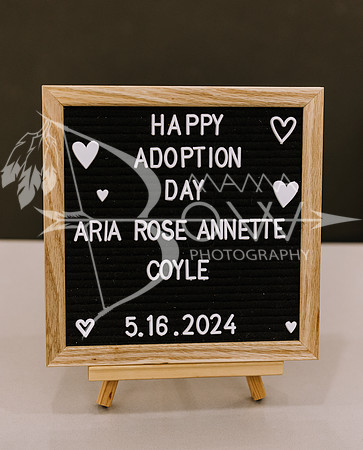 Arias adoption ws-10