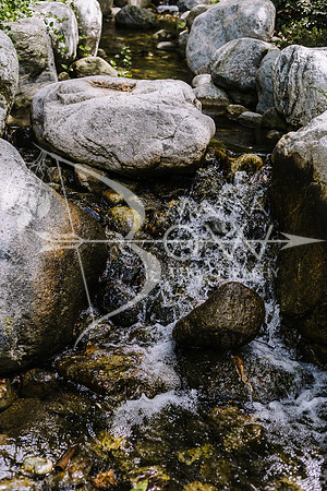 San Deigo CCBW_-77