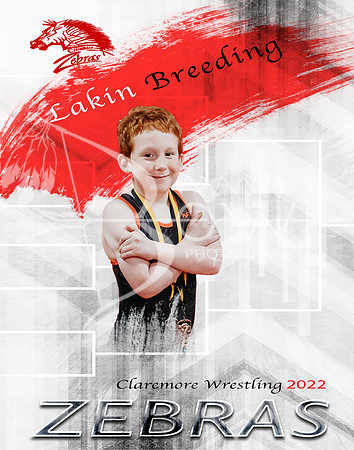Lakin #15 BG