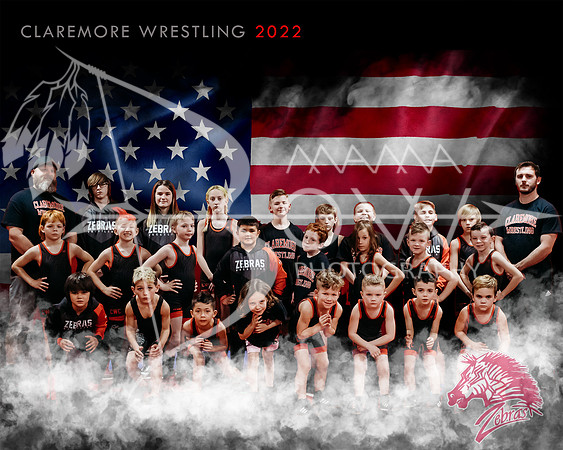 Zebra Team BG Fixed