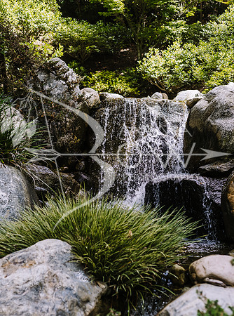 San Deigo CCBW_-80