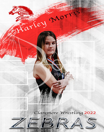 Harley #26 BG