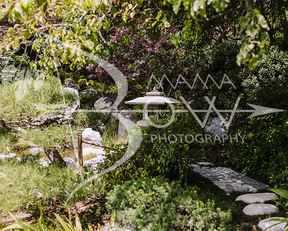 San Deigo CCBW_-87